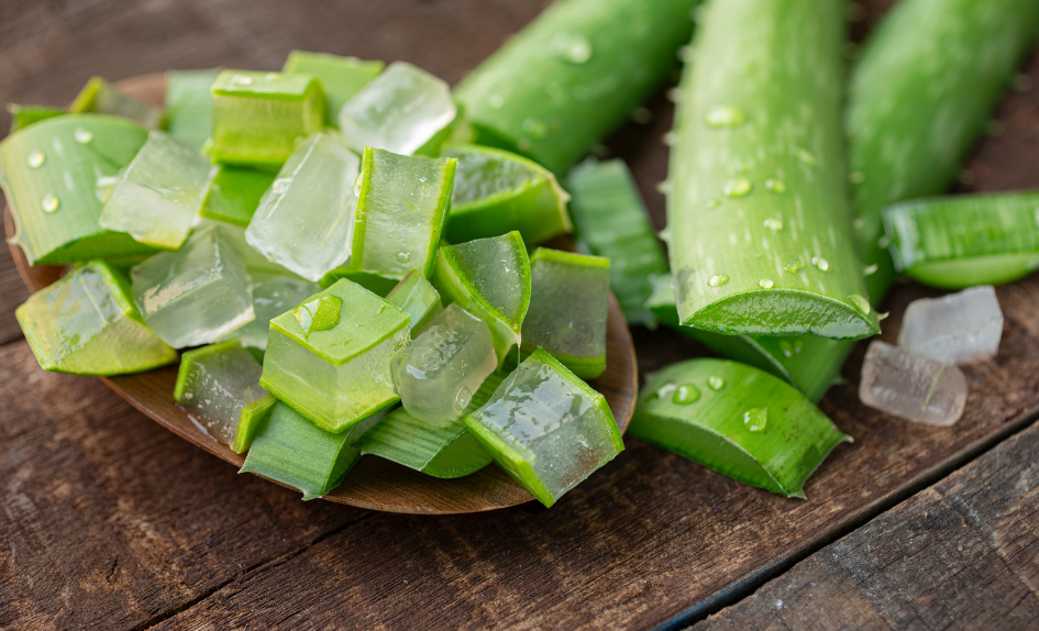 aloe vera